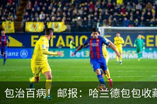 包治百病！邮报：哈兰德包包收藏价值超65万镑，最贵的一只33万镑